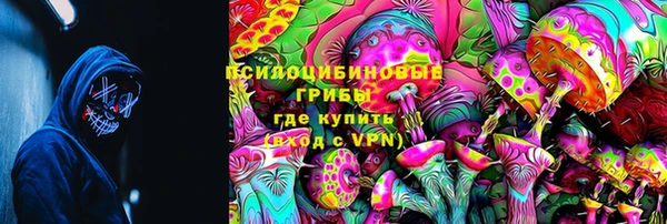 стаф Гусиноозёрск
