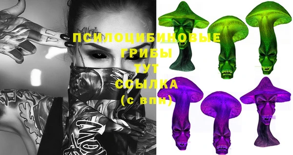 метамфетамин Гусев